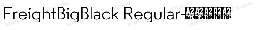FreightBigBlack Regular字体转换